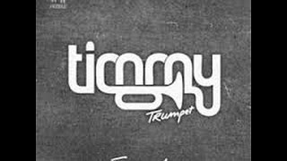 Freaks  Timmy Trumpet ft Savage Lyrics [upl. by Oglesby]