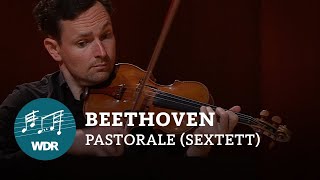 Beethoven  Sinfonie Nr 6 quotPastoralequot  Bearbeitung für Streichsextett  WDR Sinfonieorchester [upl. by Berga418]