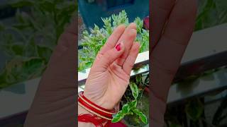 baat karne ka tarika acha hota hai Signs in Hand palmistry astrology palmistry shortvideo [upl. by Elwood289]