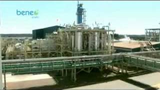 Production process of inulin and oligofructose Spanish [upl. by Otxis68]