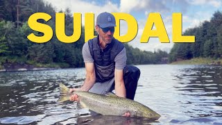 Suldal 2023 Fishing for Salmon in July [upl. by Hara]