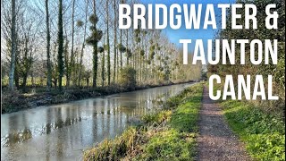 I walked 48053 Steps  Bridgwater and Taunton Canal Winter Walk  Somerset [upl. by Anaiuq]