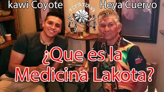 Medicina Lakota cantos medicina [upl. by Ailimat]