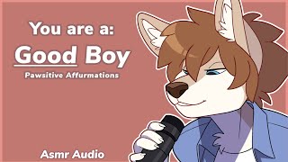 Furry ASMR You are such a Good Boy  Pawsitive Affurmations Fur Brushies amp Head Pets [upl. by Deana]