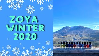 Zoya HolidayWinter 2020 Intriguing Collection  Review Swatches Comparisons [upl. by Helmer]