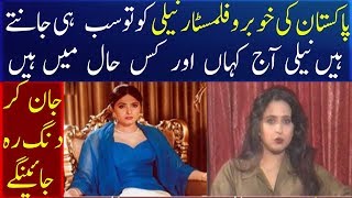 Where Is Pakistani Actress Neeli Now A Days [upl. by Atinet]