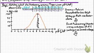 Abhängigkeit der Enzymaktivität vom pH Wert [upl. by Otrevire132]