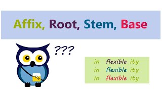 Affix Root Stem Base [upl. by Cicenia30]