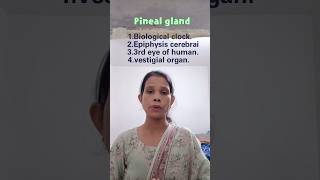 Why is the pineal gland called the biological clock biology science animals plants [upl. by Cutty621]