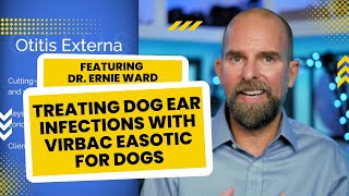 Treating Dog Ear Infections with Virbac Easotic featuring Dr Ernie Ward [upl. by Nosyla]