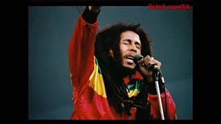 BOB MARLEYBABYLON SYSTEM LYRICS BREAKDOWN EPISODE 1 bobmarley bobmarleyandthewailers reggae [upl. by Vivica905]