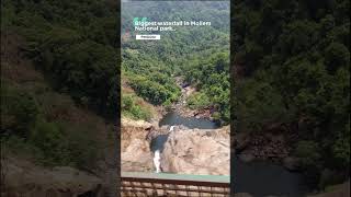 Mollem National Park Goa shorts goa travel [upl. by Hulbert]