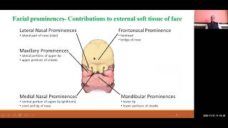 BDS I 404 I ORTHODONTICS I Prenatal growth and development of craniofacial region I DR R P MAURYA [upl. by Ahael]