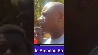 Amadou Bâ a validé le parrainage des 120 maire de BBY [upl. by Gathard]