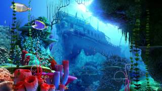 Coral Reef 3D Screensaver [upl. by Crispas931]