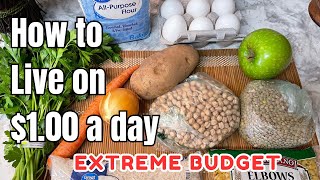 EATING FOR 1 A DAY in 2024  EXTREME BUDGET MEAL PLAN [upl. by Mima927]