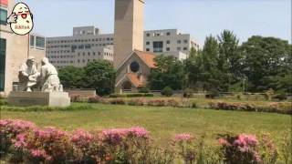 A Tour of Sejong University [upl. by Neron]