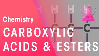 Carboxylic Acids Typical Acids and Esters  Organic Chemistry  Chemistry  FuseSchool [upl. by Jacinto]