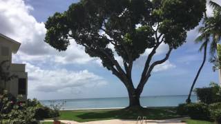 Barbados  Crystal Cove Waves amp Treasure Beach [upl. by Millur]