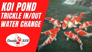 How to operate a koi pond trickle inout for water changes [upl. by Isa]