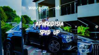 Teejay  Aphrodisia Sped Up TikTok Version trending dancehall teejay music [upl. by Zippel]