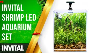 INVITAL Shrimp LED aquarium set  INVITAL [upl. by Varion39]