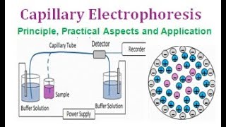 Capillary Electrophoresis  Principle Practical Aspects and Application [upl. by Aohk]