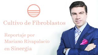 Cultivo de Fibroblastos  Entrevista por Mariano Riva Palacio  Sinergia TV Azteca [upl. by Matusow]