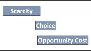 Scarcity Choice and Opportunity Cost [upl. by Laney917]