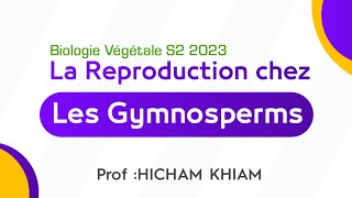 La Reproduction chez les cormophytes  les Gymnosperms  SVT S2 [upl. by Ahseekan]