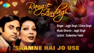 Saamne Hai Jo Use  Ghazal Song  Jagjit Singh Chitra Singh [upl. by Larrad466]