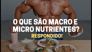 O que são os Macronutrientes e Micronutrientes RESPONDIDO [upl. by Struve]