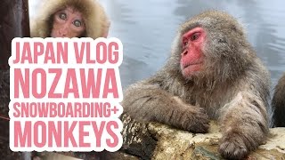 Japan Vlog  Nozawa Onsen  Jigokudani Monkey Park  Snowboarding  Day 11 12 amp 13  ZoëTwoDots [upl. by Nivar]