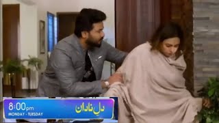 Promo 24  Drama Serial Dil e Nadan EP24 DileNadan today EP 24 Feedback By Drama [upl. by Larner]