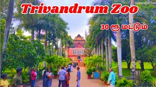 திருவனந்தபுரம் Zoo சுற்றுலா  Biggest Zoo in Kerala  Trivandrum Zoo [upl. by Feilak756]