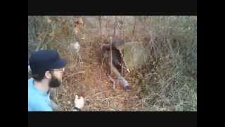 Primitive Trapping Tips  Tom Brown III [upl. by Studdard]