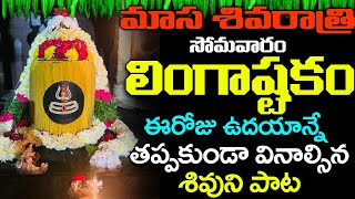 BRHMA MURARI SUVARCHITA LINGAM  LINGASHTAKAM  LORD SHIVA POPULAR STOTRAS  LORD SHIVA SONGS [upl. by Abebi202]