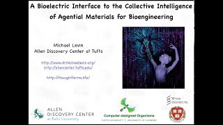 quotA bioelectric interface to the collective intelligence of agential materials for bioengineeringquot [upl. by Breena229]