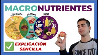 Qué son los MACRONUTRIENTES 🍎 EXPLICADO  Carbohidratos proteinas y grasas [upl. by Nerral]