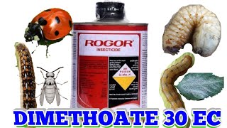 ROGOR INSECTICIDE DIMETHOATE 30 EC [upl. by Boardman]