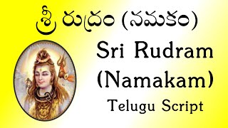 శ్రీ రుద్రం నమకం  Sri Rudram Namakam  Telugu Script  Yajur Veda  Sri K Suresh [upl. by Evad]