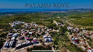 Payamlı Köyü ve Çevresi Drone 4K Videosu Seferihisar İzmir 2 [upl. by Elwyn]