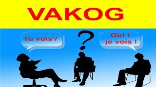 Programmation neuro linguistique le VAKOG métaprogrammes la PNL pour les nuls [upl. by Leotie]