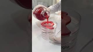 Media Pouring  Mannitol Salt Agar pouring  Plate Preparation for Bacterial growth youtubeshorts [upl. by Aisemaj120]