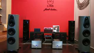 Linn Klimax Solo 800  Klimax 360 Loudspeakers [upl. by Luigino]