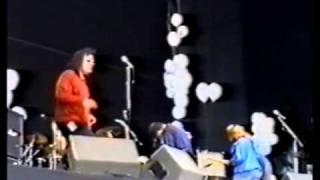 Mercury Rev Very Sleepy Rivers Live at Phoenix Festival 1993 Yerself is Steam [upl. by Harle]