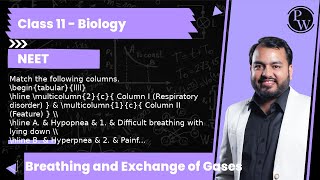 Match the following columns 2c Column I Respiratory disorder 1c Column II Feature A [upl. by Mackay880]