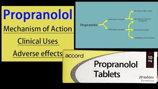 Propranolol Pharmacology Mechanism of Action  Clinical Uses  Adverse Effects [upl. by Hanleigh38]