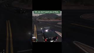 Rabies SLRP FiveM GTARP roleplay police GTAV gaming shorts GTAroleplay cops [upl. by Lraep860]