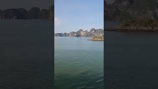 Morning in Halong Bay Cruise Vietnam vietnam halongbaycruise [upl. by Stanislaw]